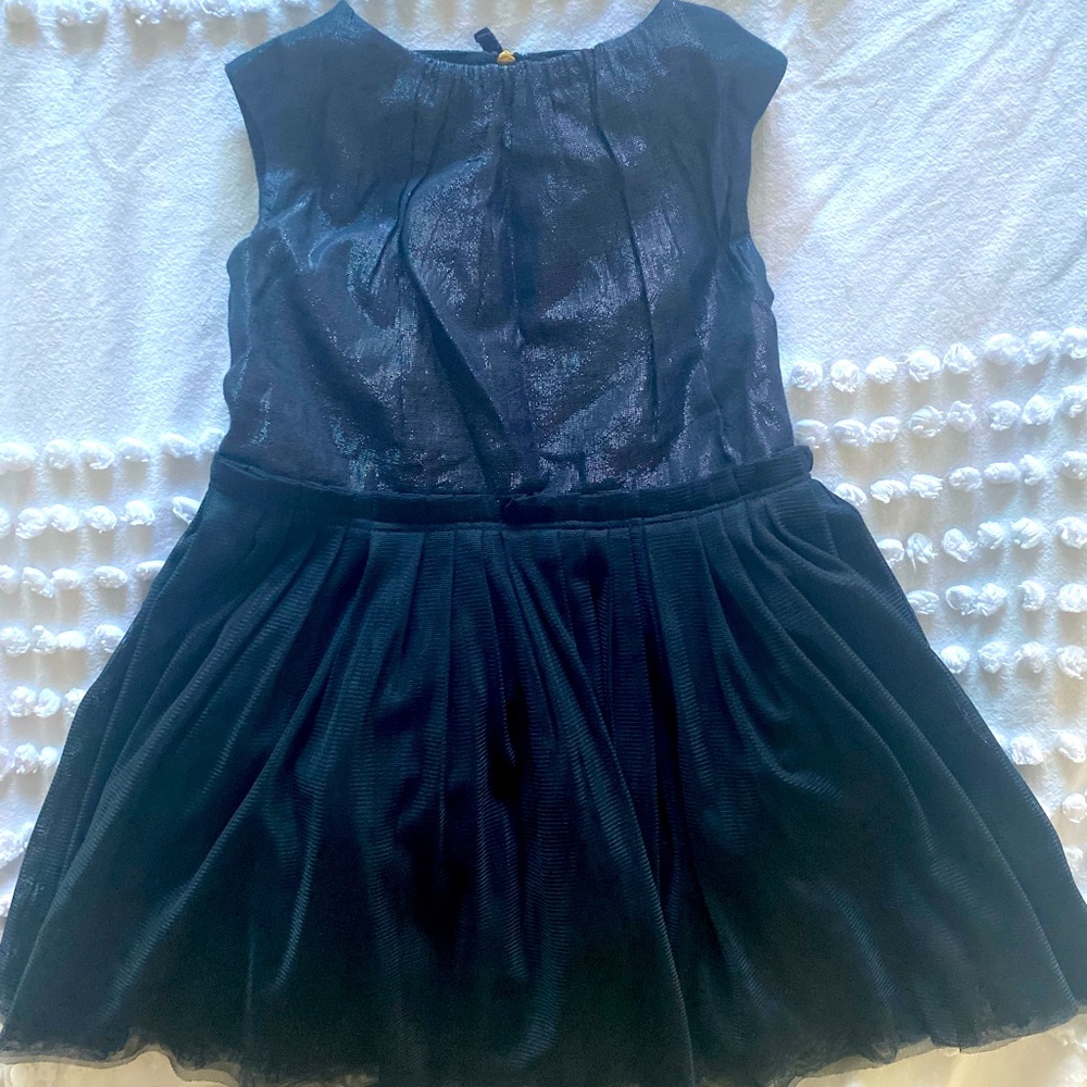 Crewcuts 2t navy sparkle and tulle dress
